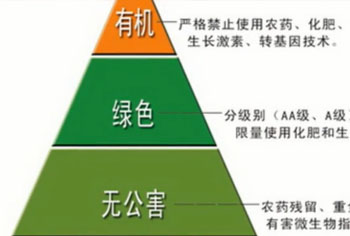 ʲô�ǟo(w��)����ʳƷ��ʲô�ǾGɫʳƷ��